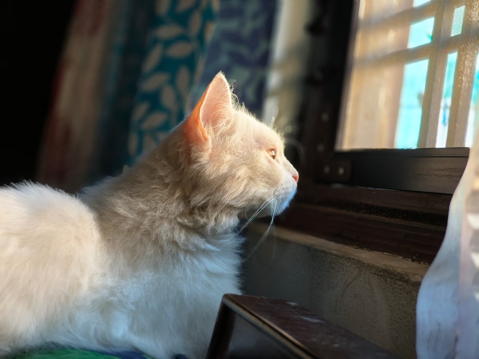 Mama by the window